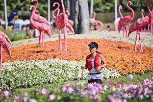 BIB: 
                            <button type="button" onclick="openModal(27793387)" class="btn btn-primary btn-sm float-right btn-popup" data-toggle="modal" data-target=".modal-high-quality">
                        <i class="fas fa-shopping-cart"></i> Add to Cart
                    </button>
                                            <button type="button" onclick="isThisMe(27793387, true)" class="btn btn-success btn-sm float-right btn-popup btn-isme hidden" data-toggle="tooltip" data-placement="bottom" title="นี่คือรูปของคุณใช่ไหม คลิกที่นี่เพื่อเอาเข้าอัลบั้ม">
                        <i class="fas fa-plus"></i> Add to album
                    </button>
                    <button type="button" onclick="isThisMe(27793387, false)" class="btn btn-warning btn-sm float-right btn-popup btn-isnotme hidden">
                        <i class="fas fa-ban"></i> Remove from album
                    </button>